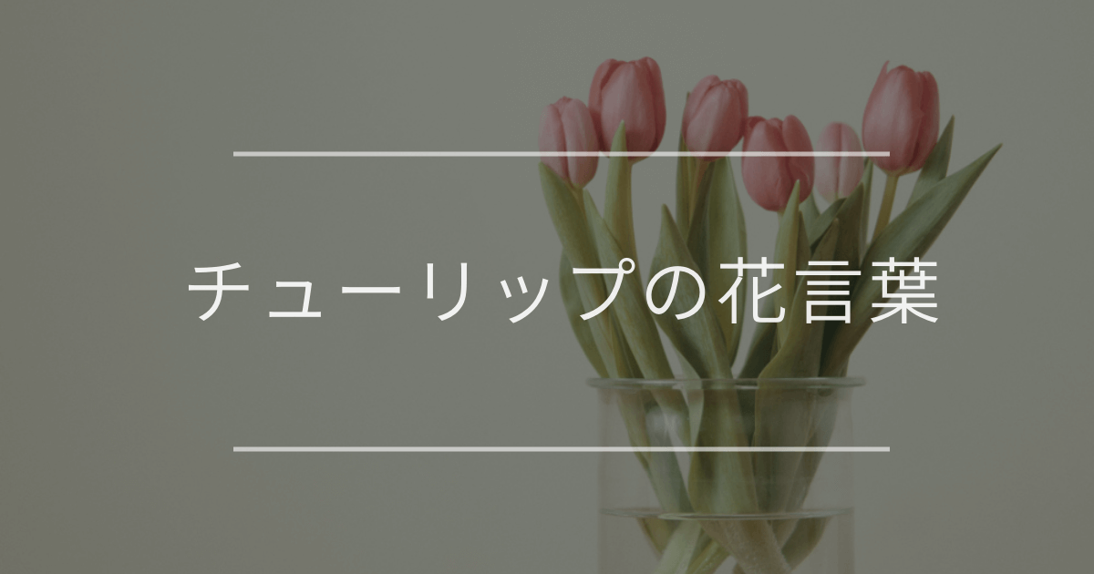 チューリップの花言葉|色別の花言葉や誕生花、名前の由来