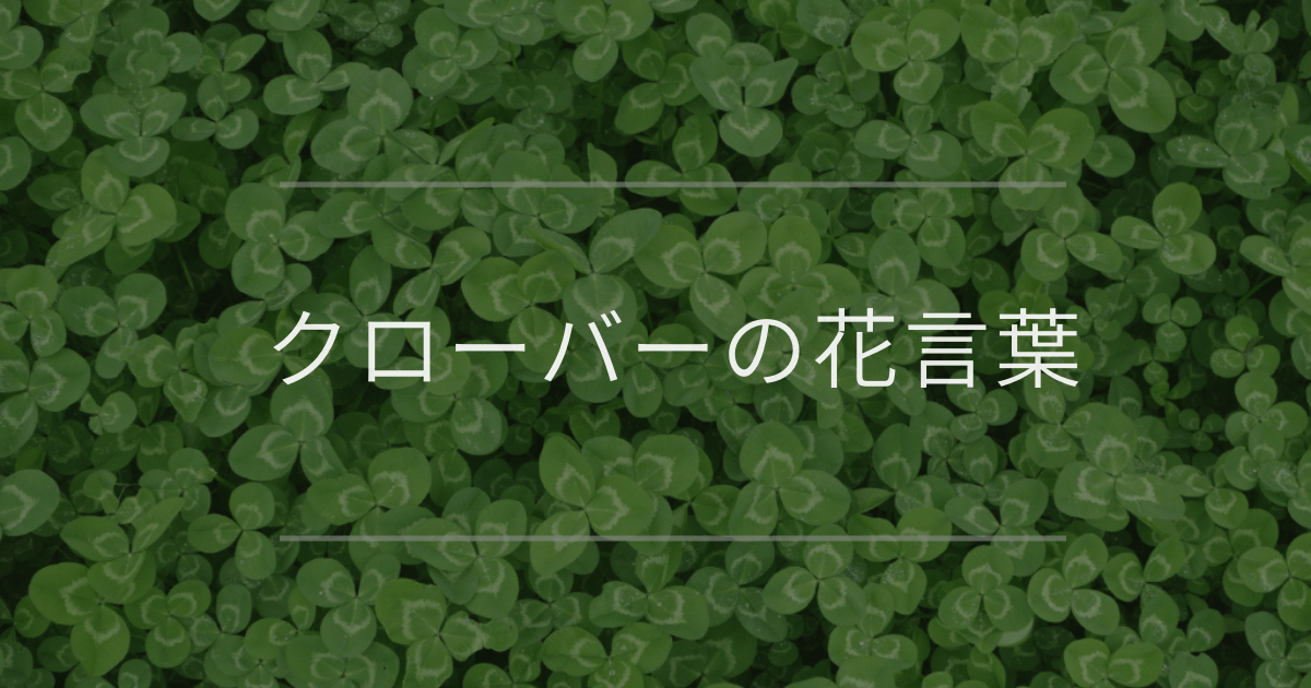 クローバーの花言葉