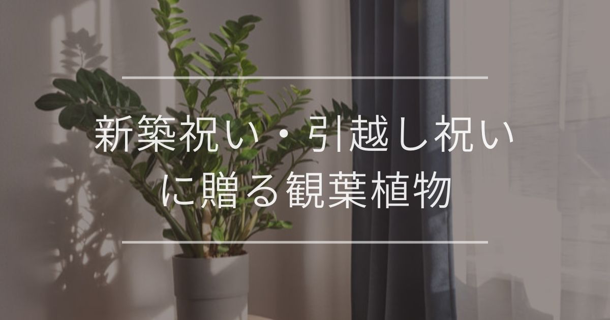 新築祝いでおすすめな観葉植物