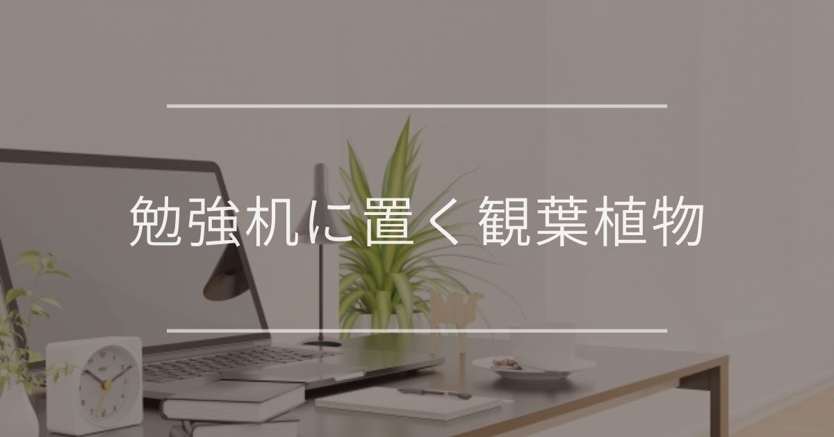 勉強机に置く観葉植物|選び方とおすすめについて