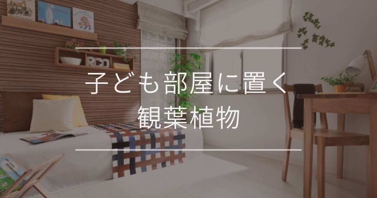 子ども部屋に置く観葉植物|選び方やおすすめの紹介