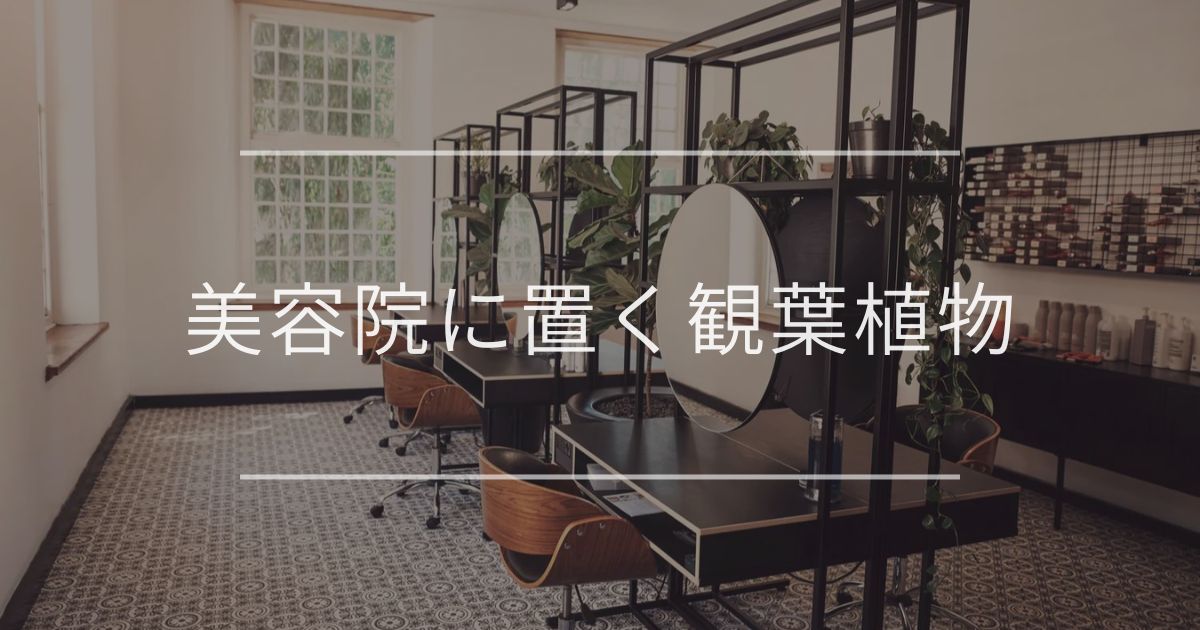 美容院に置く観葉植物|おすすめの種類とインテリア例