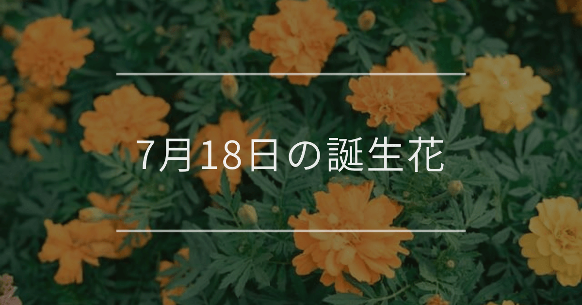 7月18日の誕生花