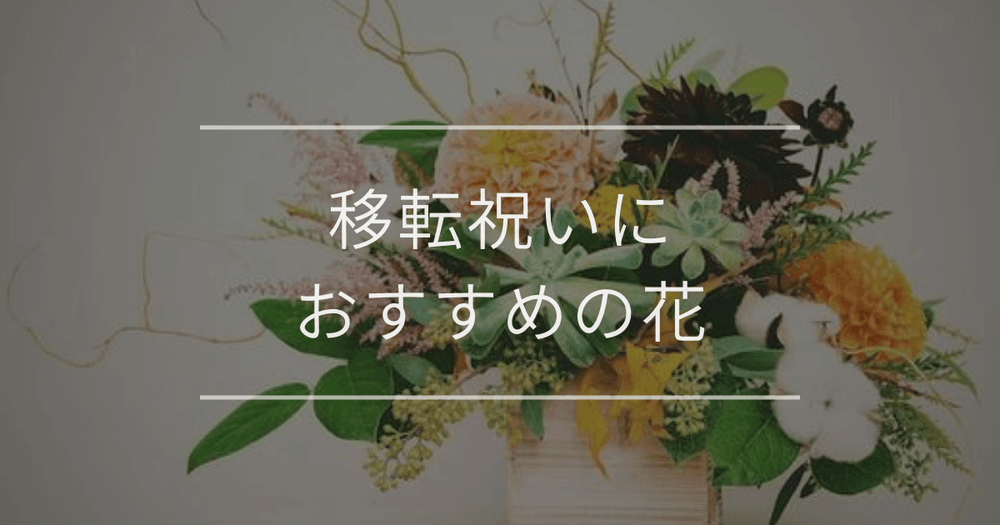 移転祝いにおすすめの花|相場とマナー