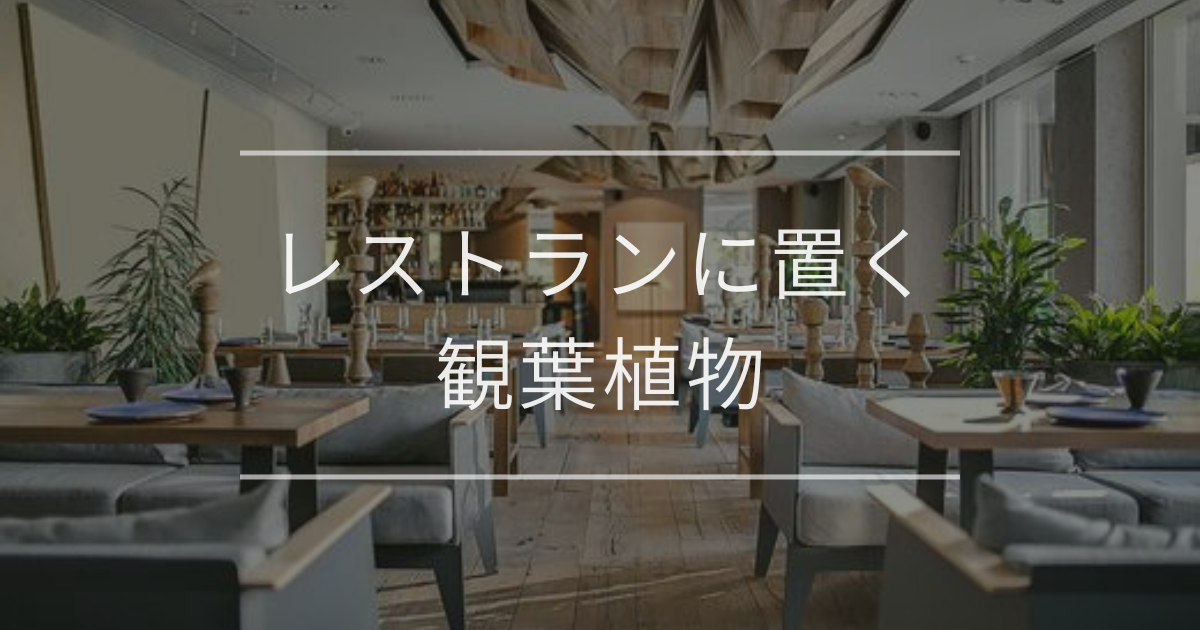レストランに置く観葉植物