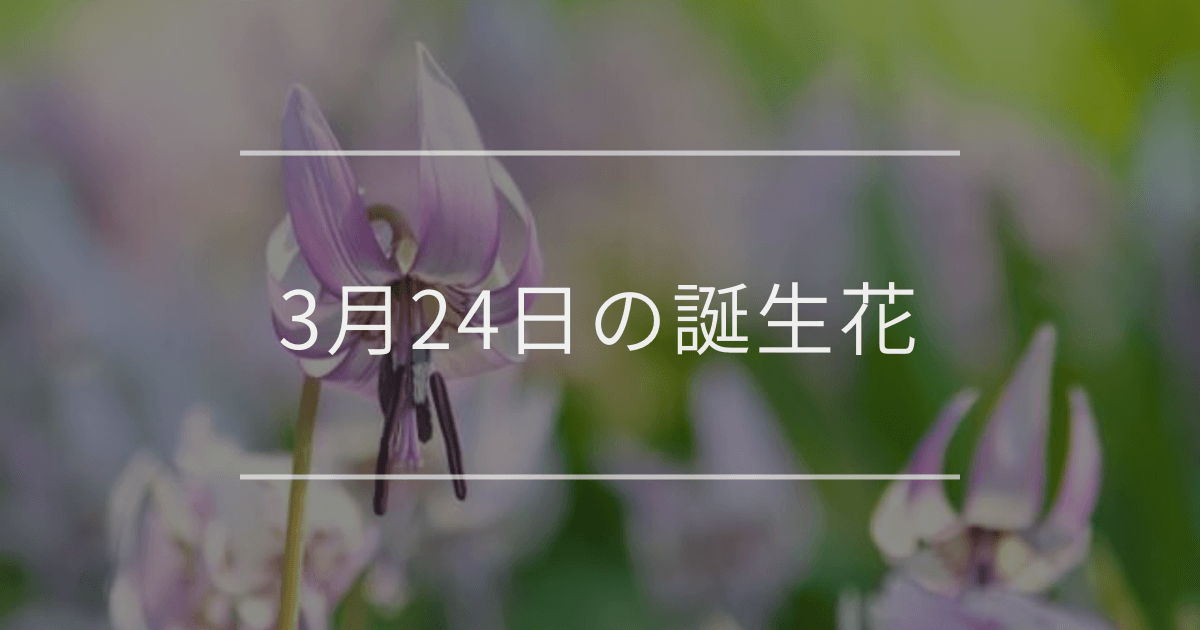 3月24日の誕生花:カタクリ・コブシの花言葉など