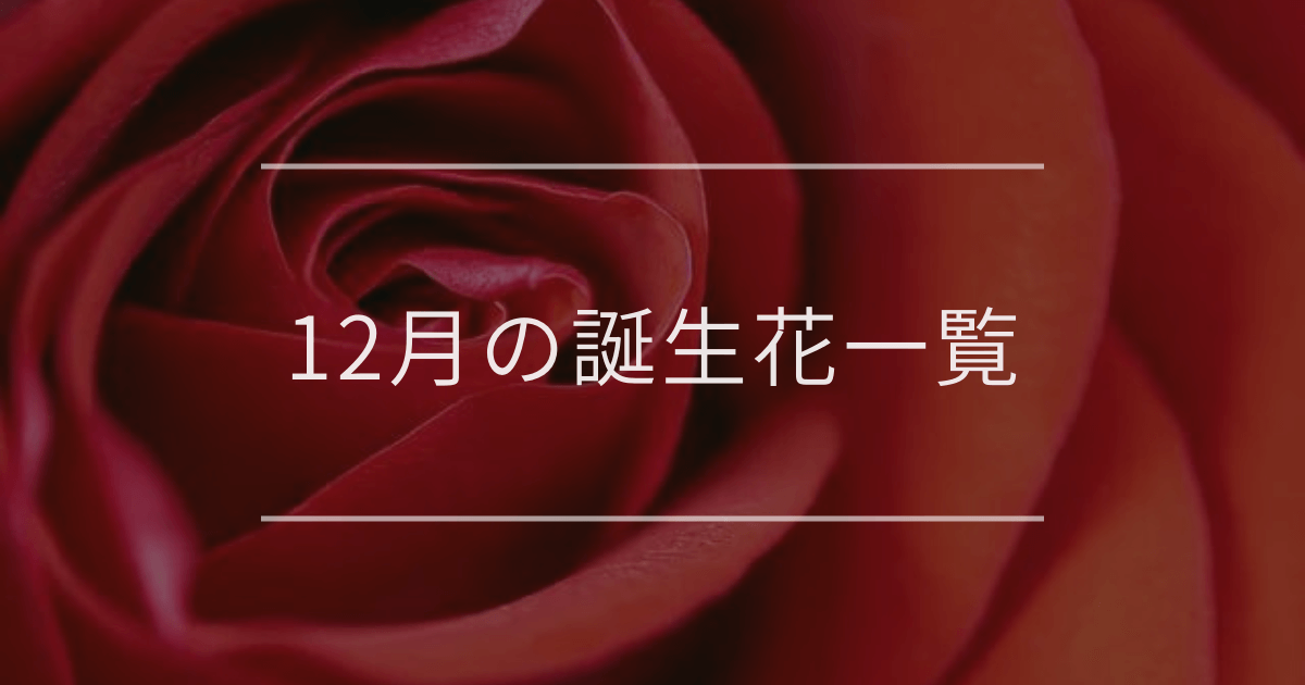 12月の誕生花一覧