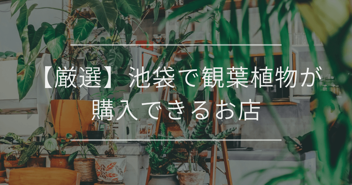 【厳選】池袋で観葉植物が購入できるお店
