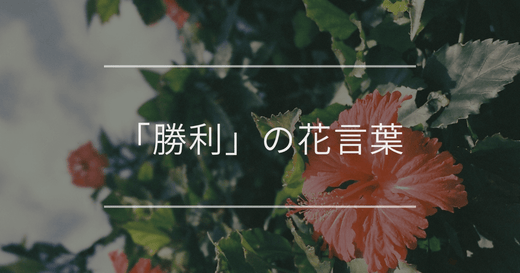 「勝利」の花言葉|頑張る人へのプレゼントや開店祝いにおすすめの植物