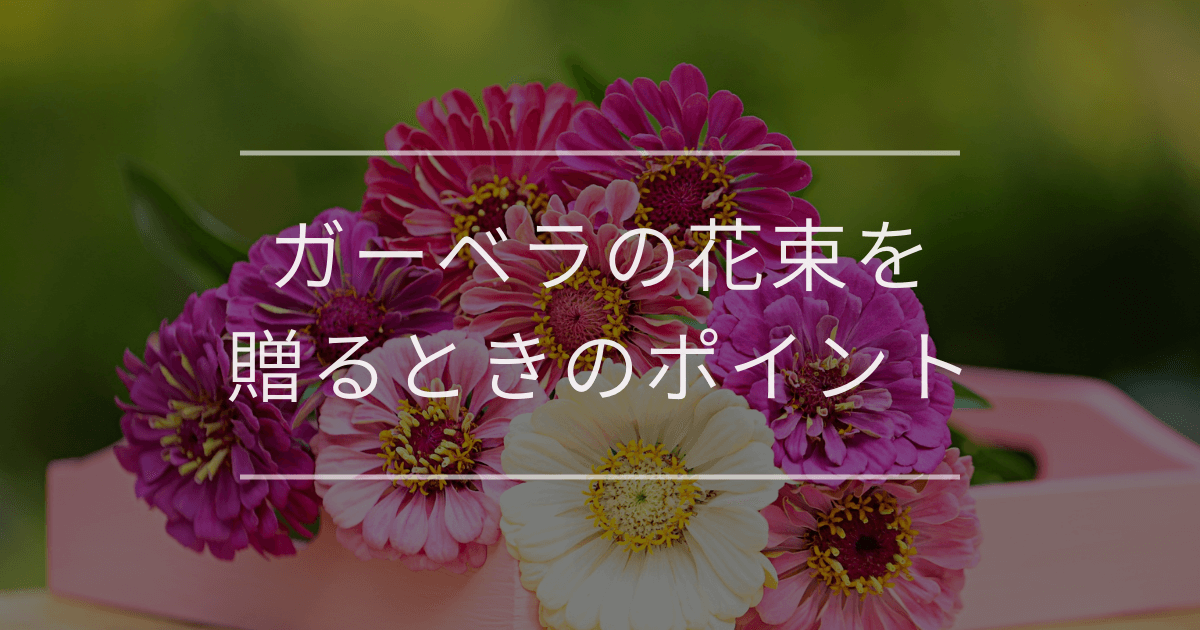 ガーベラの花束を贈るときのポイント|花言葉や色別の意味を解説