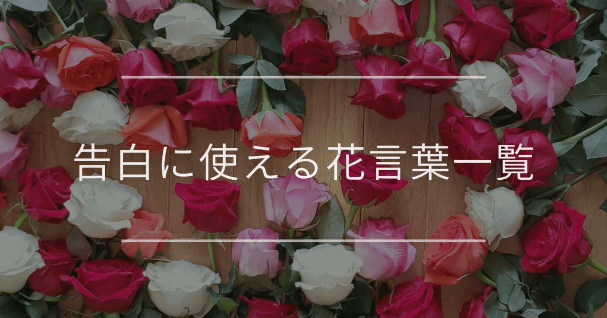 告白に使える花言葉一覧|贈りたい相手のイメージ別20選