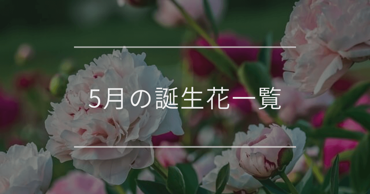 5月の誕生花一覧
