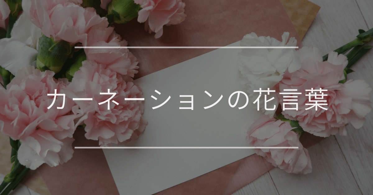 カーネーションの花言葉|母の日や彼女へのプレゼントに添えて贈りたい花言葉と由来