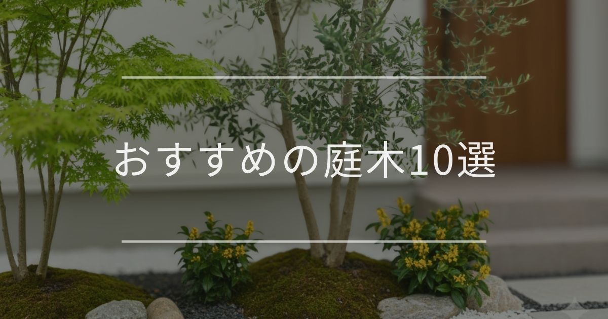 【最新版】おすすめの庭木10選|後悔しない選び方も徹底解説