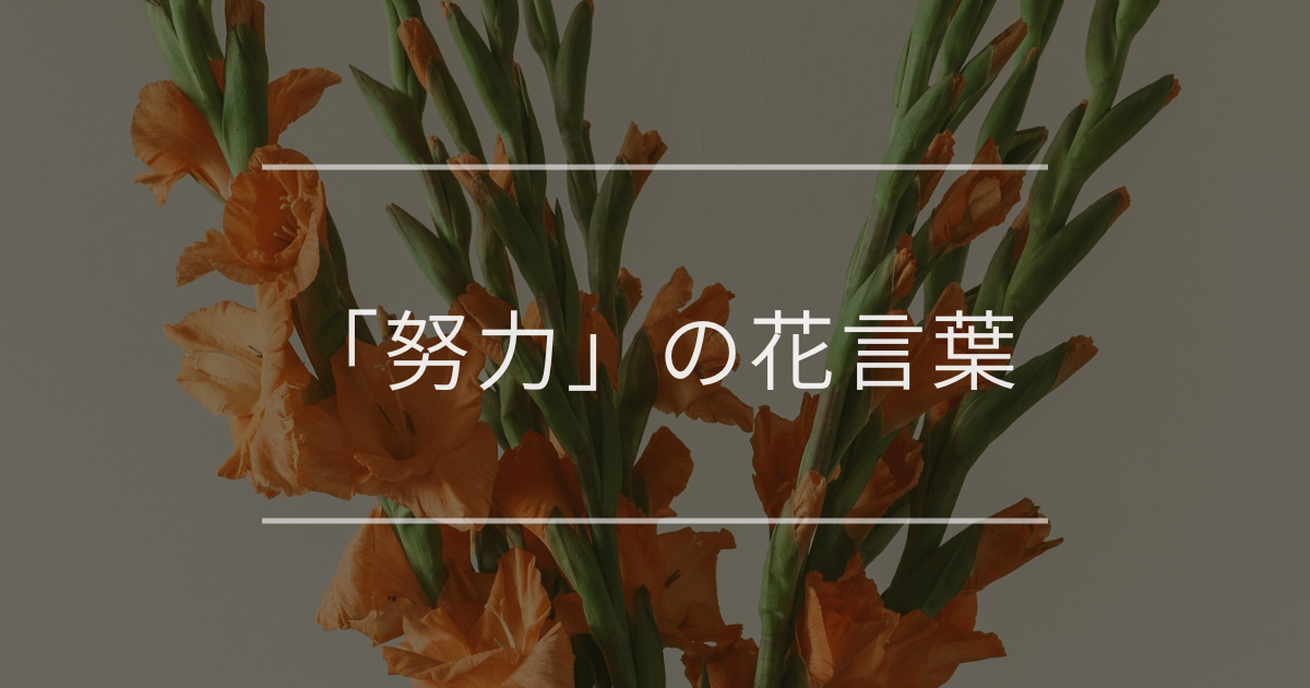 「努力」の花言葉|励ましたい時や頑張りたい時におすすめの植物