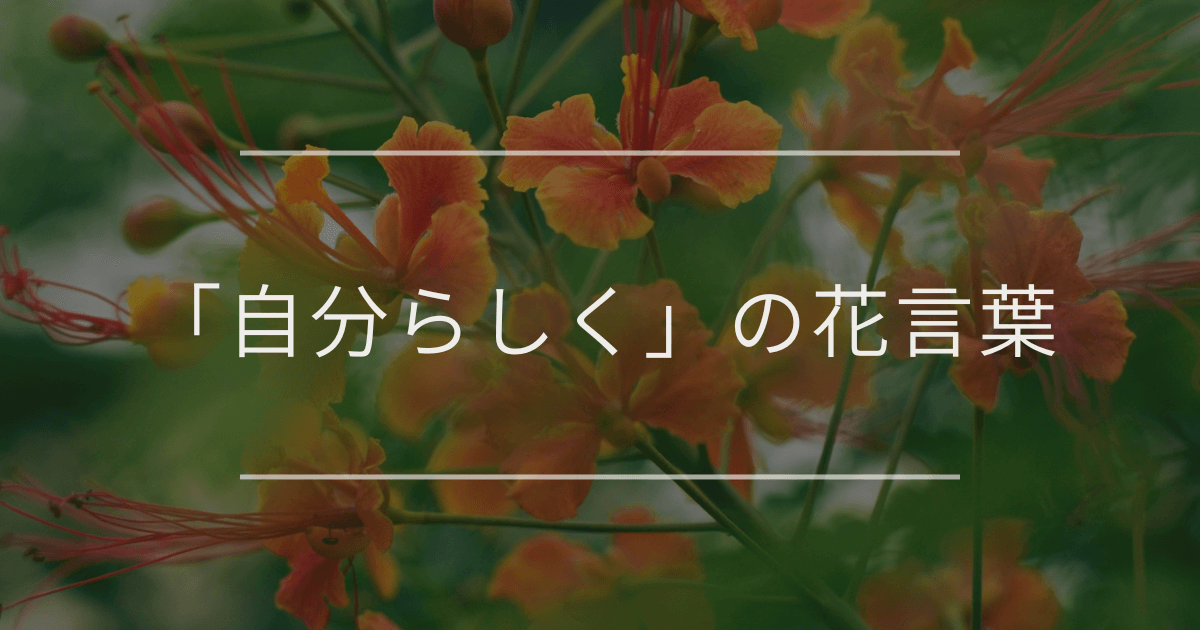 「自分らしく」の花言葉|勇気と自信をくれるかっこいい花言葉