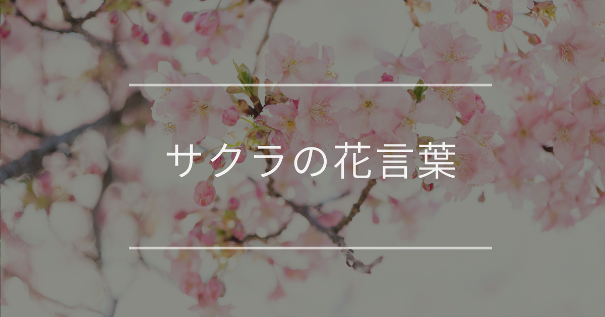 サクラの花言葉|品種別の花言葉や誕生花、名前の由来
