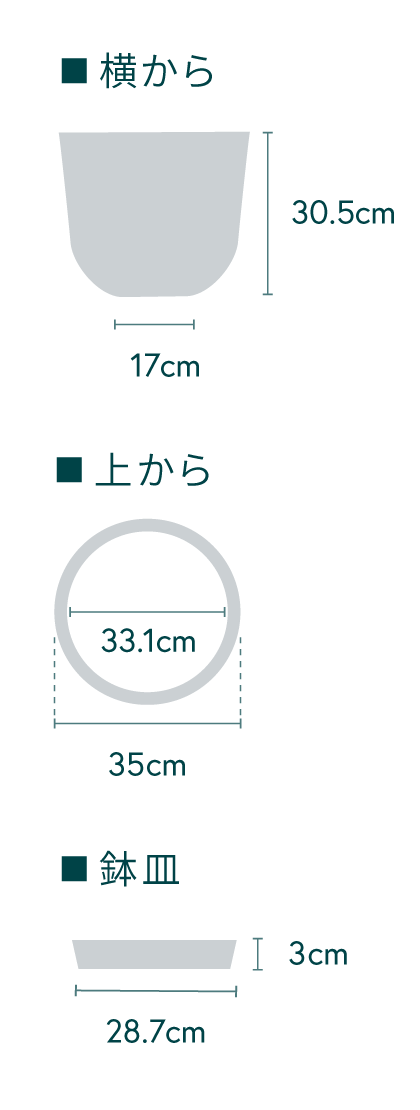 ツピダンサス カーブ L【首都圏限定】