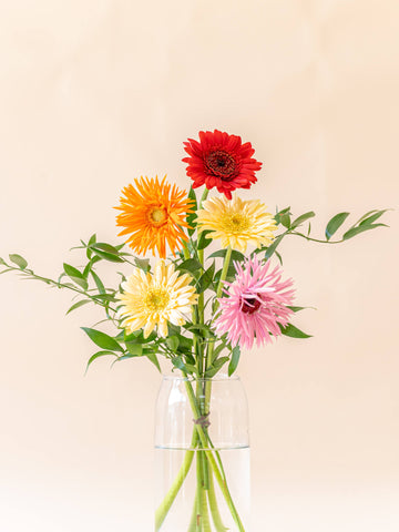 ガーベラの花束 5本 - ミックス -