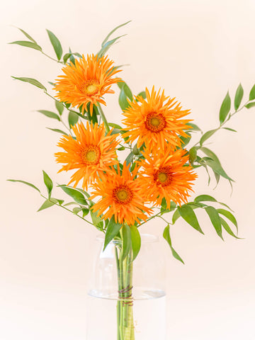 ガーベラの花束 5本 - オレンジ -