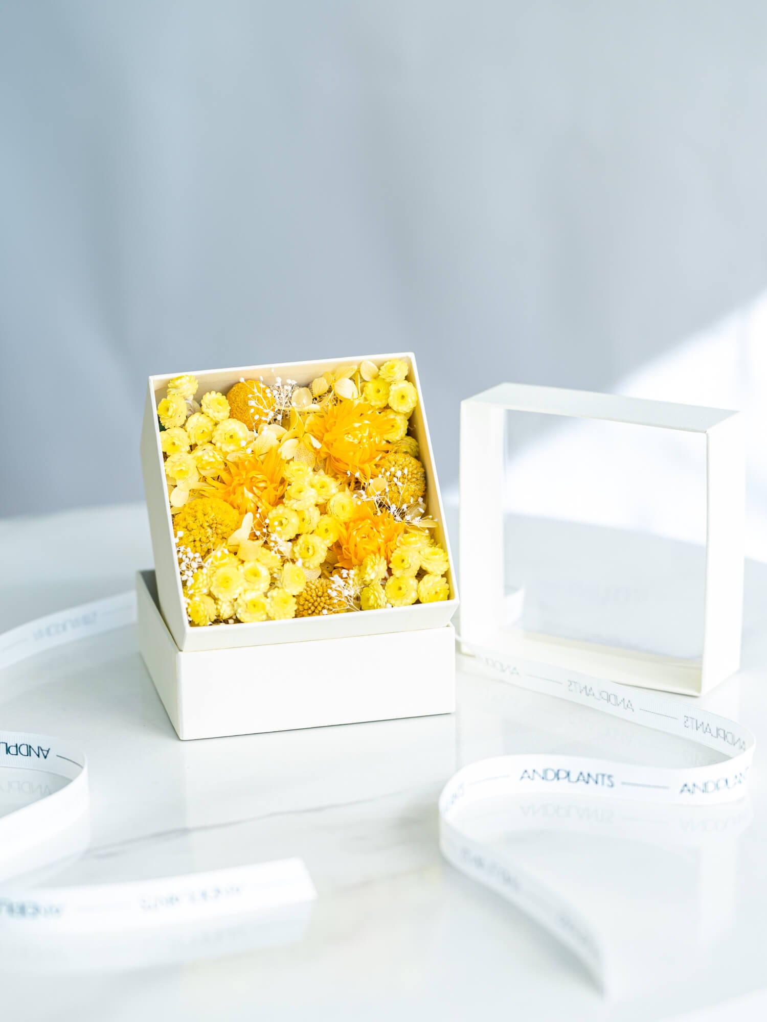 ドライの鮮やかなフラワーボックスM - イエロー -