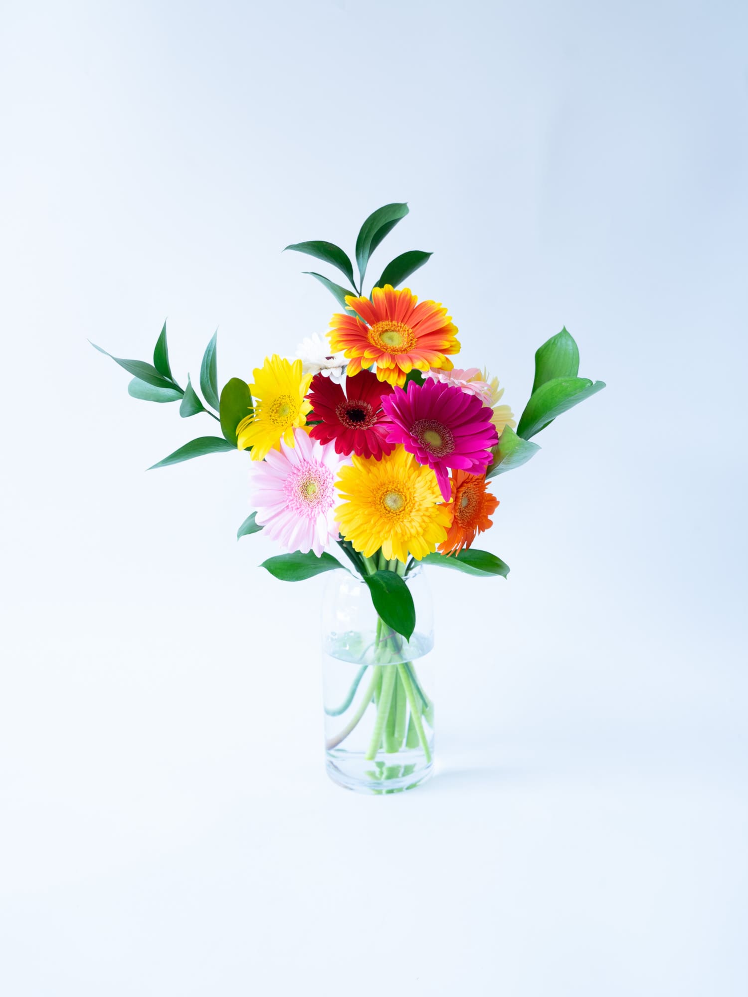 Weekend Flower - ポップな彩りのガーベラMix -