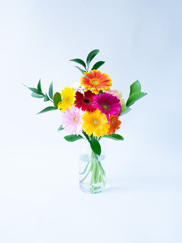 Weekend Flower - ポップな彩りのガーベラMix -