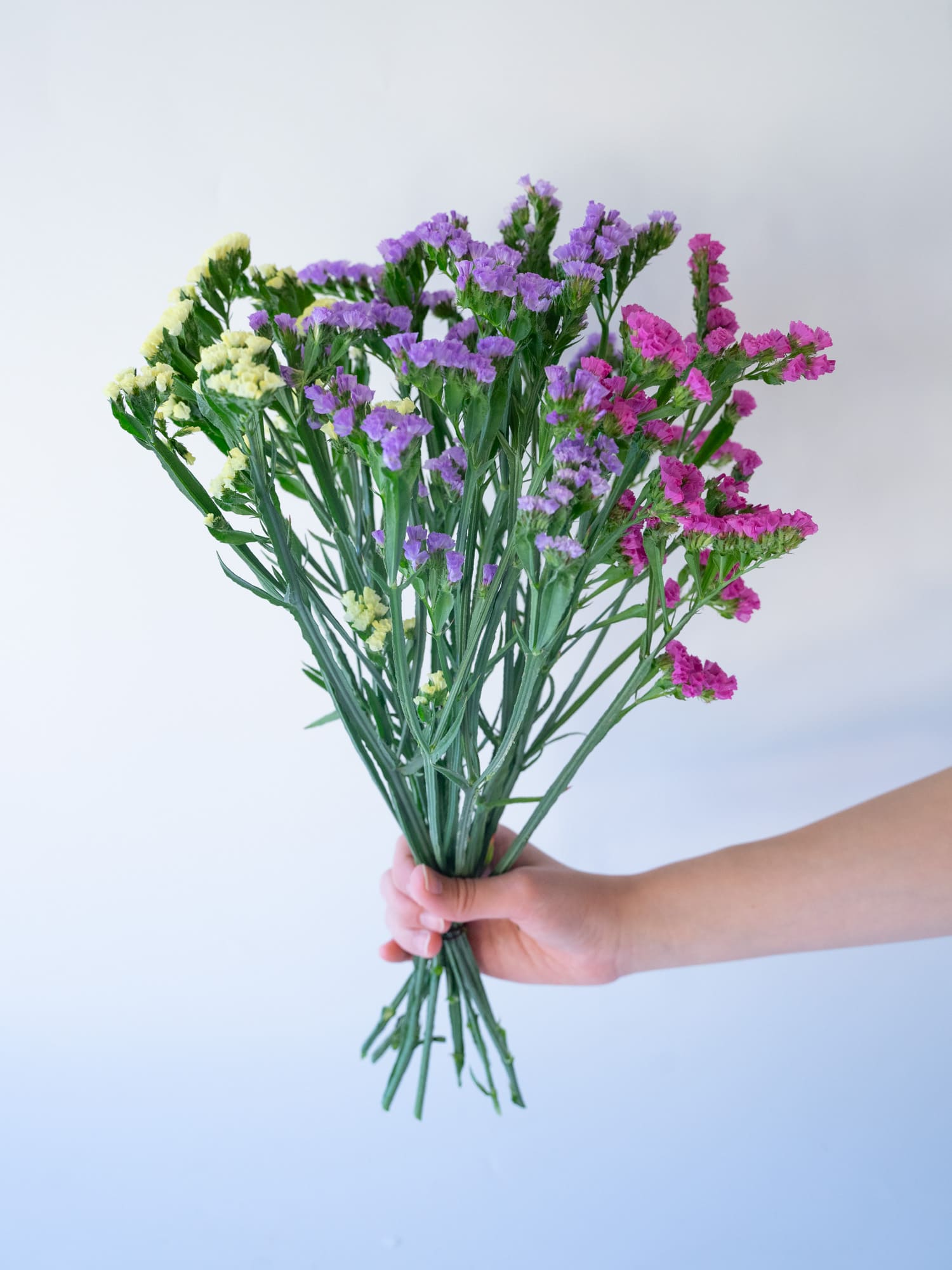 Weekend Flower - ドライにできるスターチスMix -