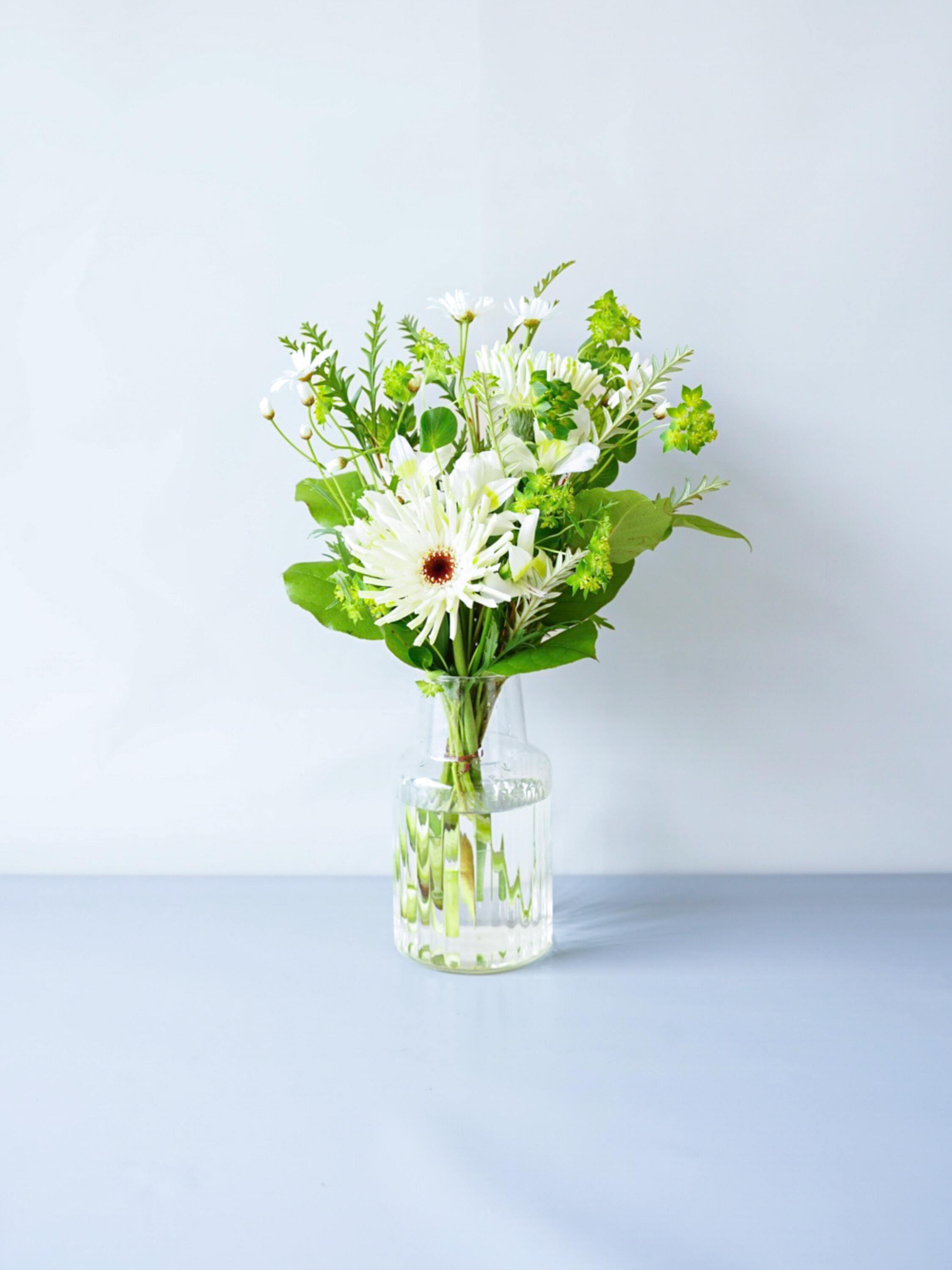 【誕生日ギフト】 フローリストにおまかせ 季節の花束 M - グリーン&ホワイト -