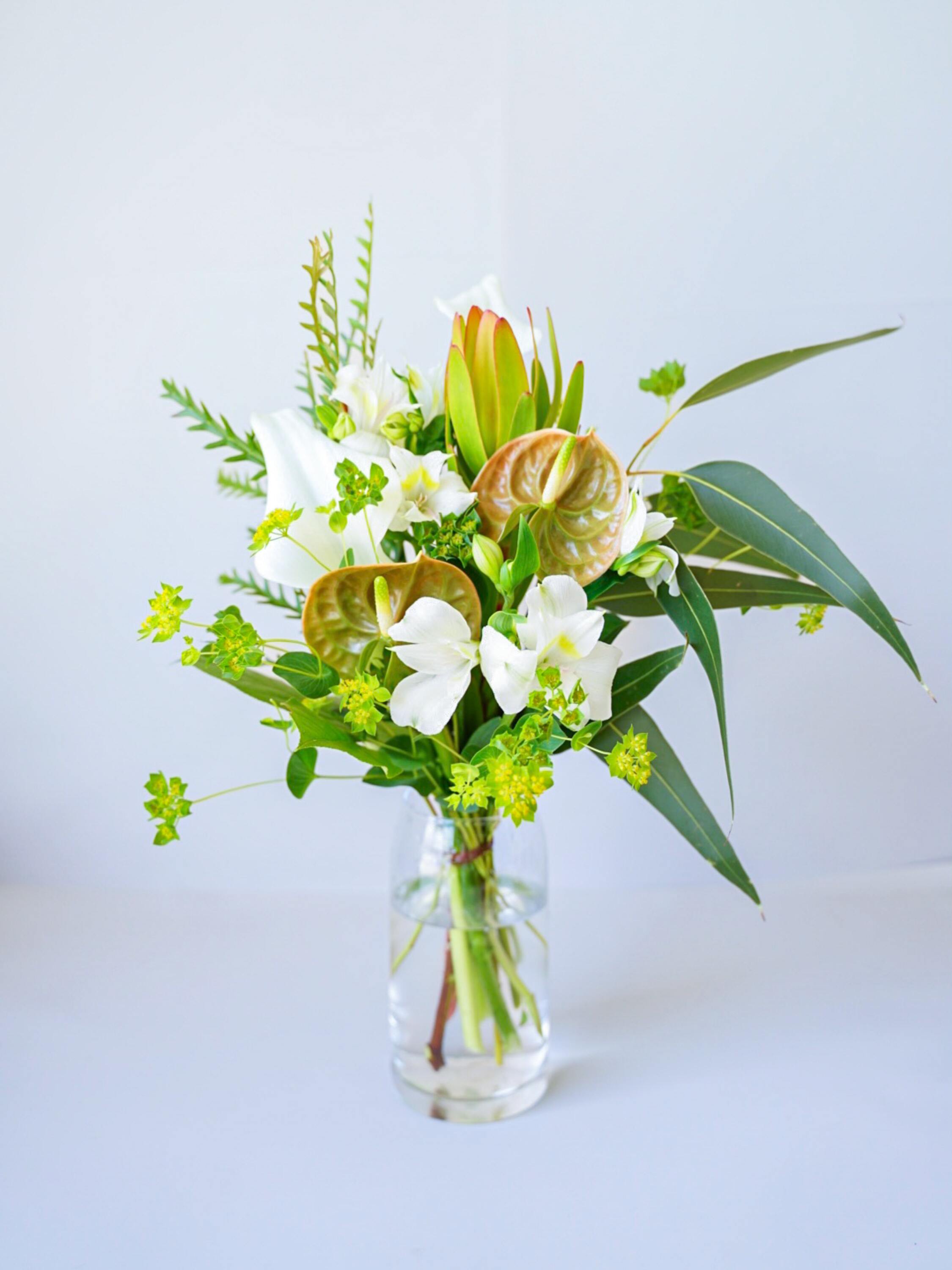 【誕生日ギフト】 フローリストにおまかせ 季節の花束 M - グリーン&ホワイト -