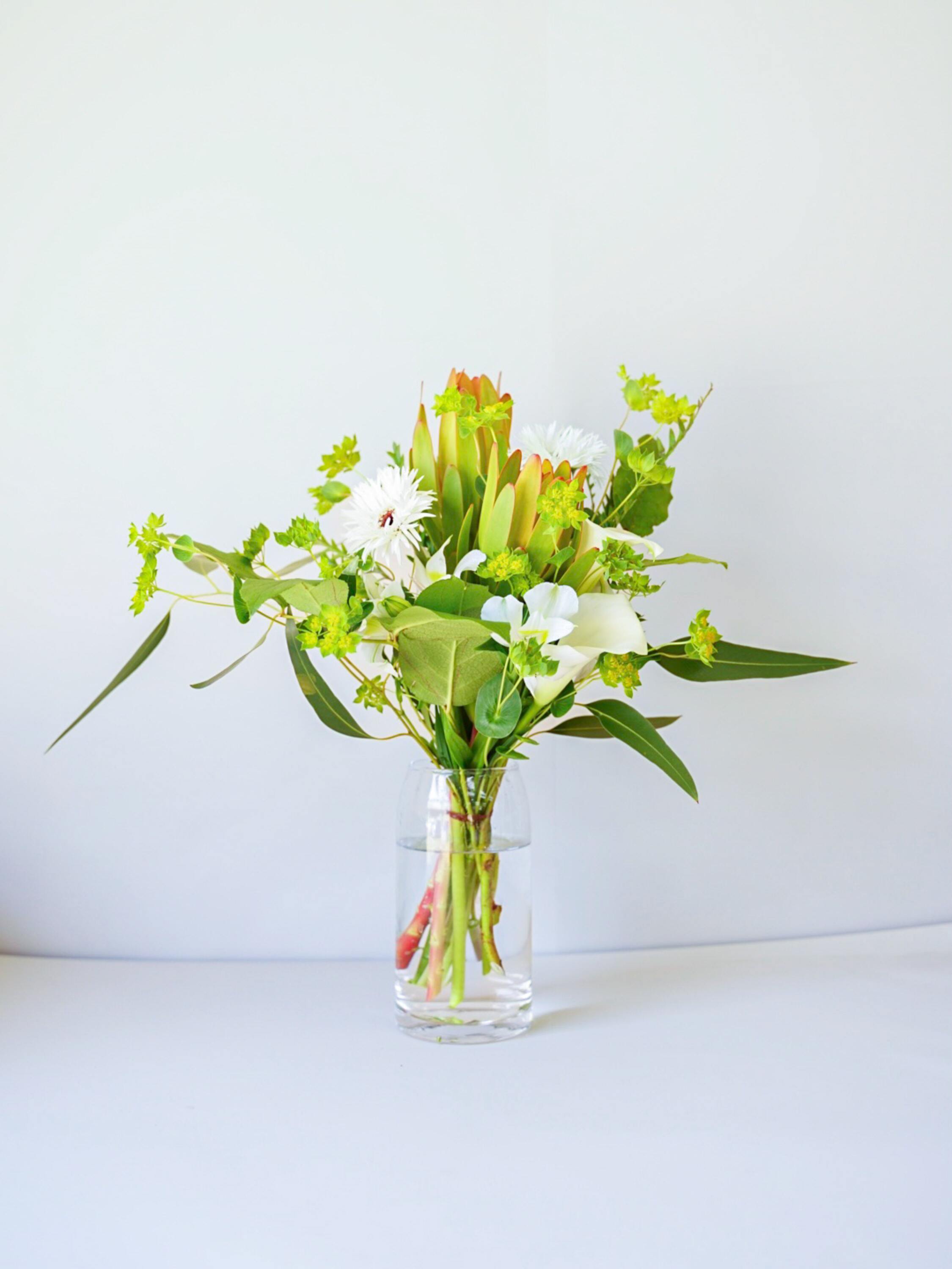 【誕生日ギフト】 フローリストにおまかせ 季節の花束 M - グリーン&ホワイト -