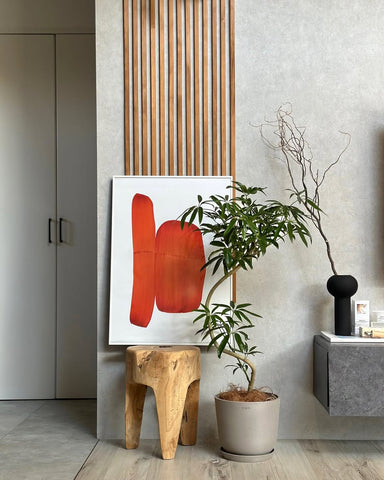 シェフレラ・アンガスティフォリア まがり M