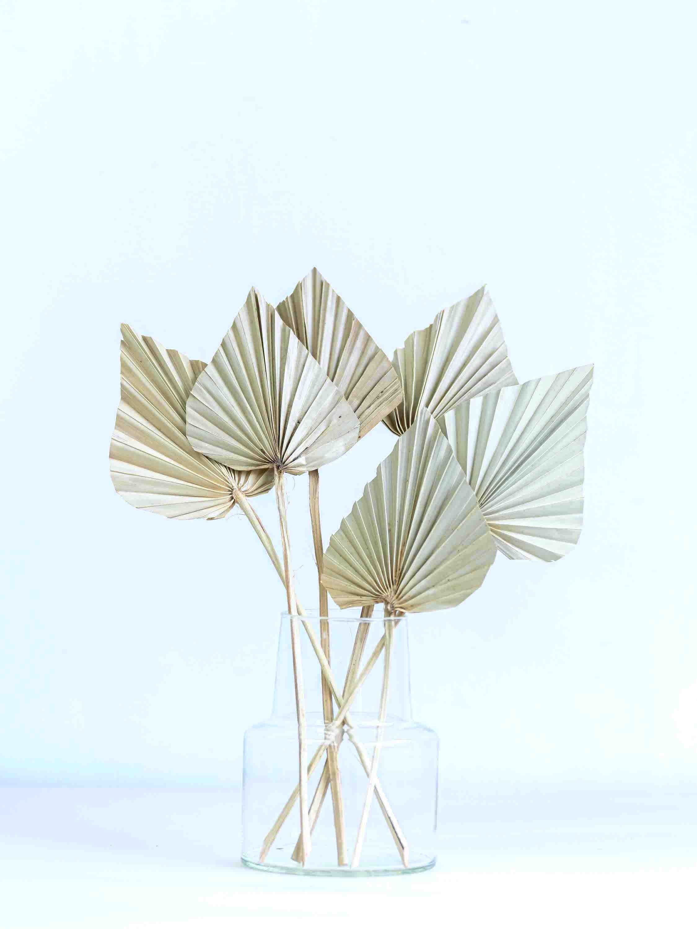 ドライ花材 パームスペード ナチュラル