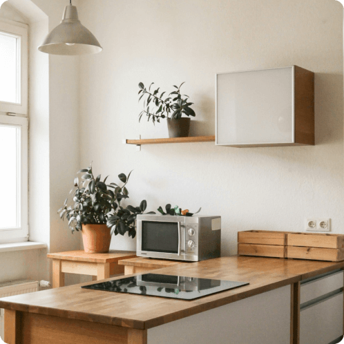 におすすめの観葉植物