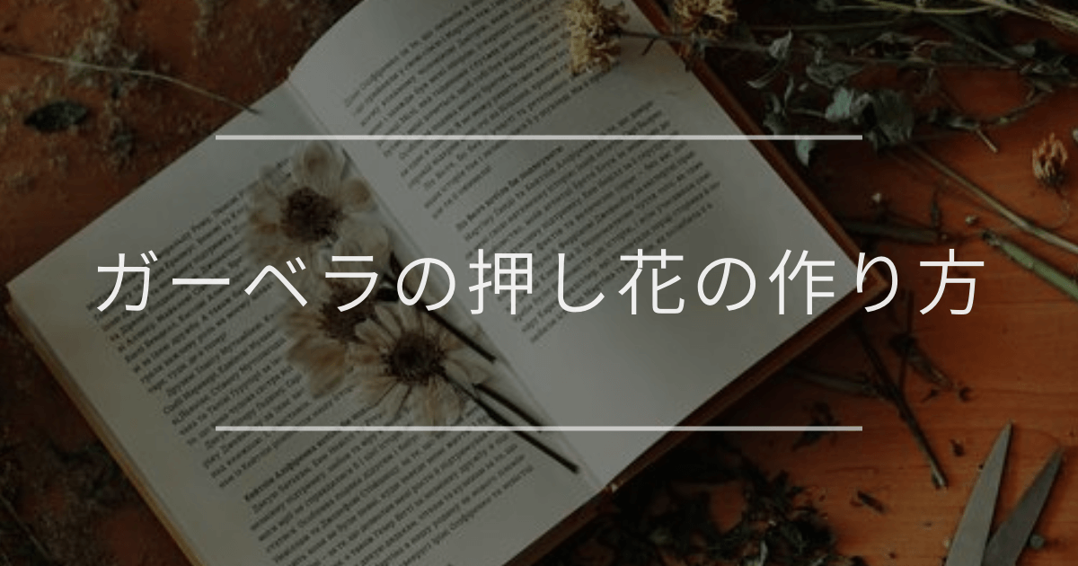 ガーベラの押し花の作り方｜失敗しないコツ・飾り方・保存方法