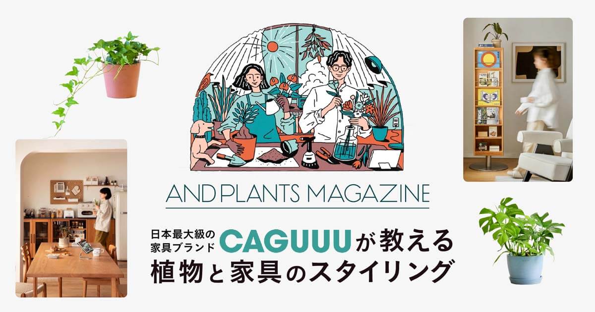 【CAGUUUが教える】植物と家具のスタイリング