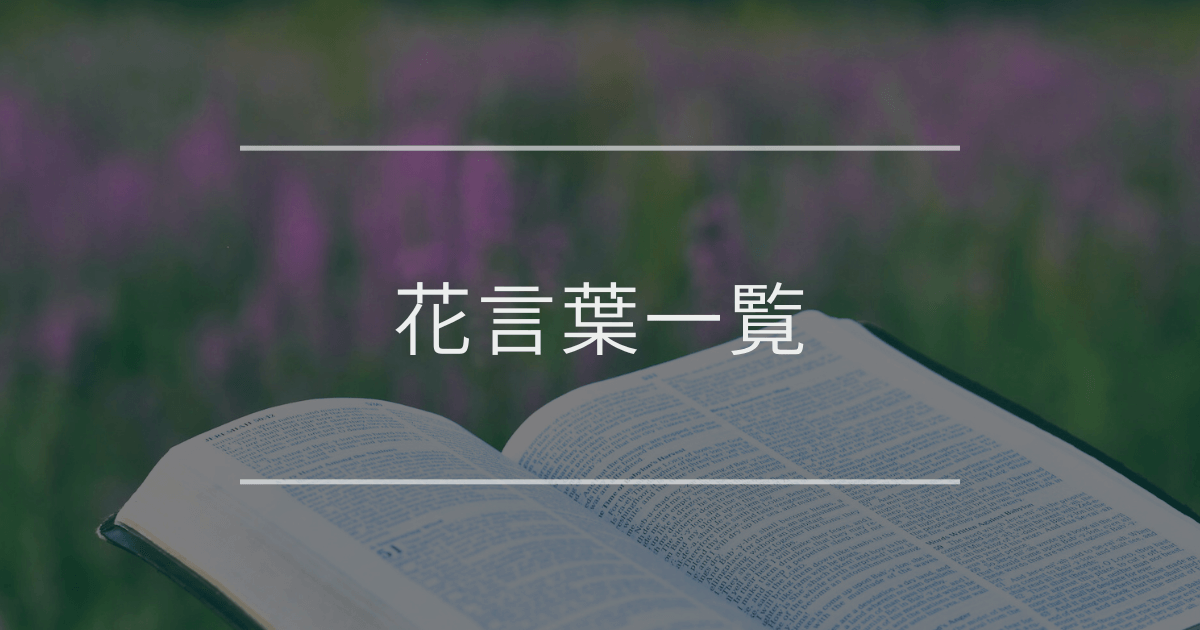 花言葉一覧