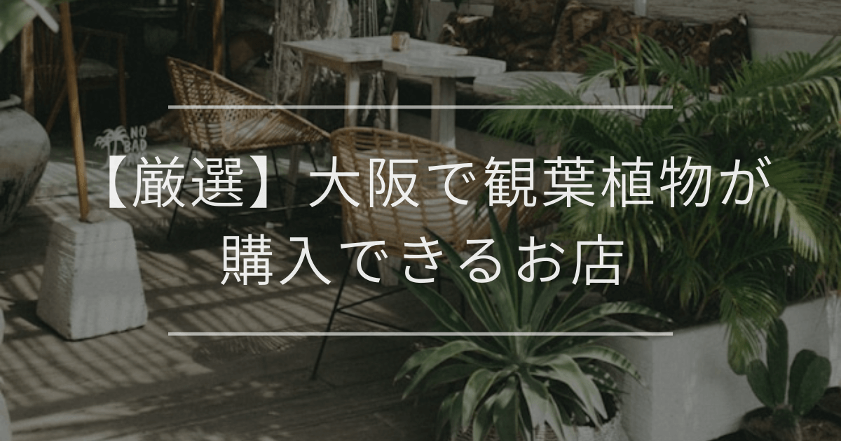 開店祝いに花以外で贈るおしゃれギフト14選|ジャンル別・マナーも解説 | 観葉植物・お花の通販 AND PLANTS (アンドプランツ)