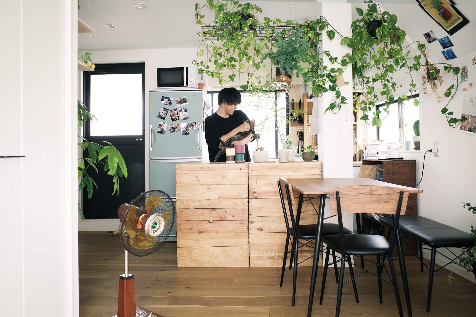 植物屋が作る32㎡のノスタルジー感じる部屋。夫婦と猫の穏やかな暮らし。