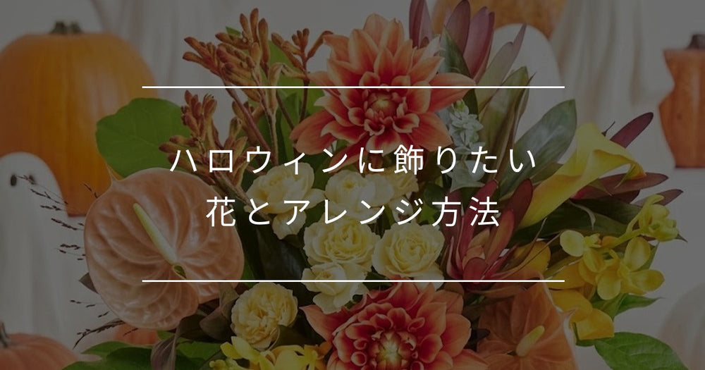 ハロウィンに飾りたい花とアレンジ方法｜由来やテーマカラーも徹底解説