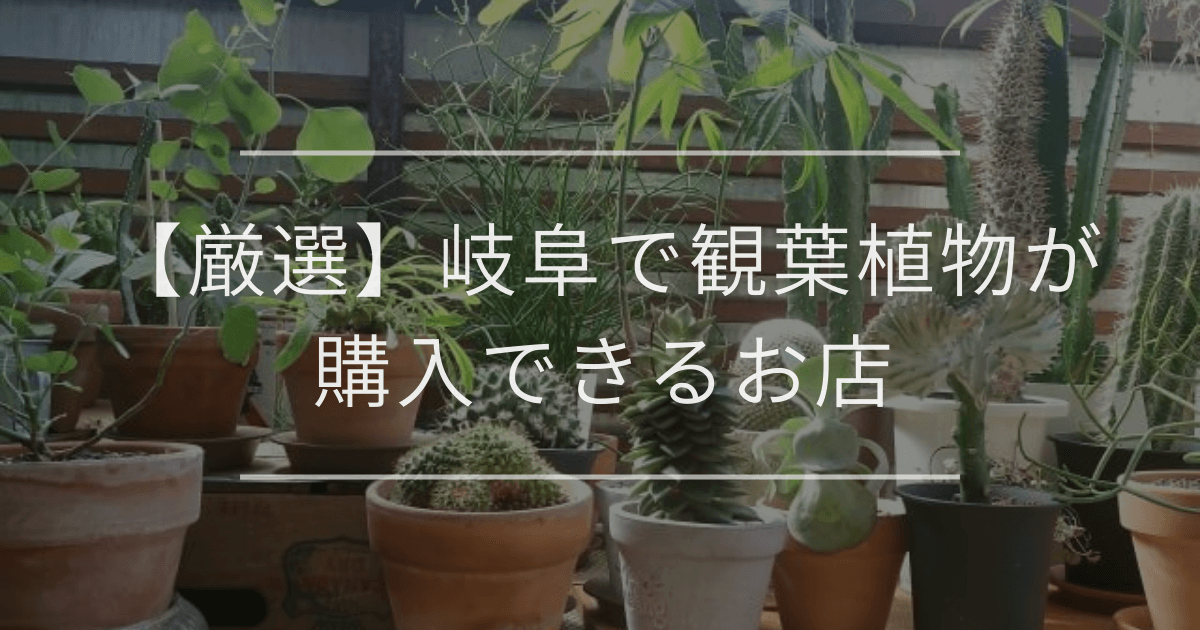 開店祝いに花以外で贈るおしゃれギフト14選|ジャンル別・マナーも解説 | 観葉植物・お花の通販 AND PLANTS (アンドプランツ)