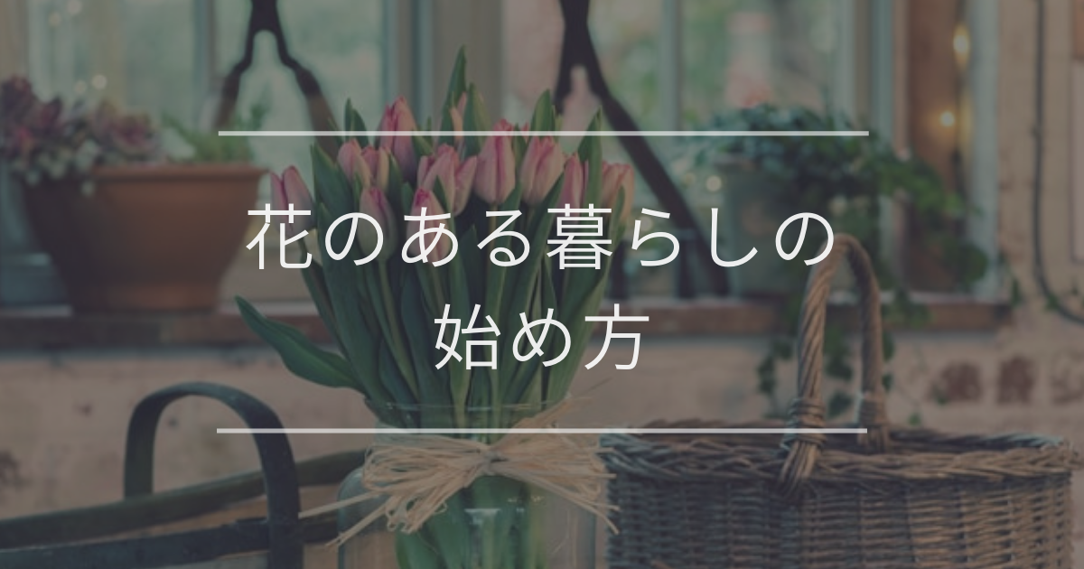 ケンチャヤシの育て方 | 観葉植物・お花の通販 AND PLANTS ケンチャヤシの育て方 | 観葉植物・お花の通販 AND PLANTS