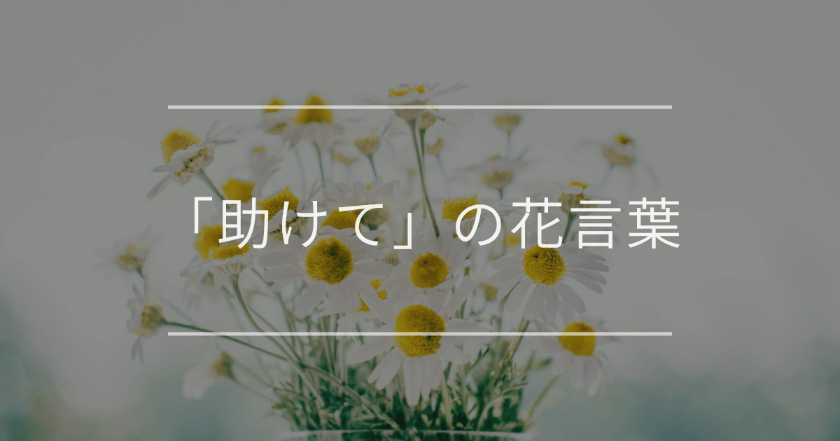 「助けて」の花言葉