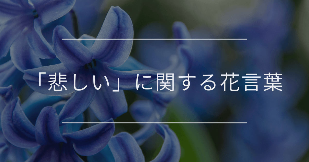 「悲しい」に関する花言葉