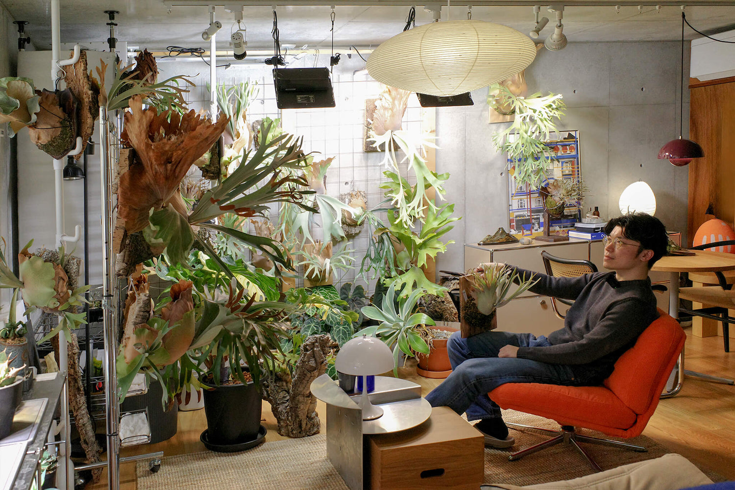 100株を超える植物と厳選されたインテリア。都内マンションで楽しむビカク愛溢れる住まい。