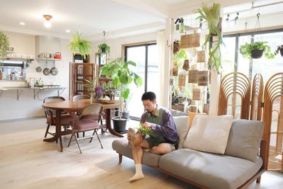 観葉植物とロマンが同居する家。DIYと試行錯誤を楽しむ実験精神と緑があふれる暮らし