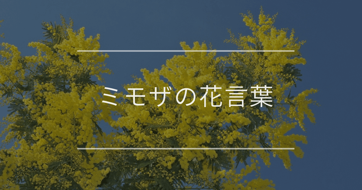 ミモザの花言葉