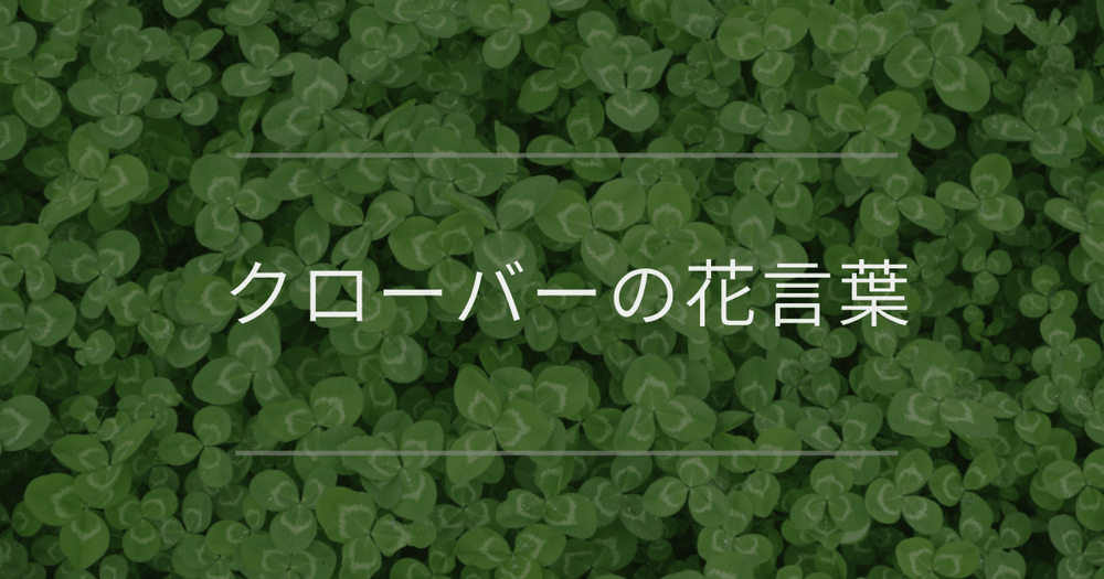 クローバーの花言葉｜枚数別の花言葉や誕生花、名前の由来