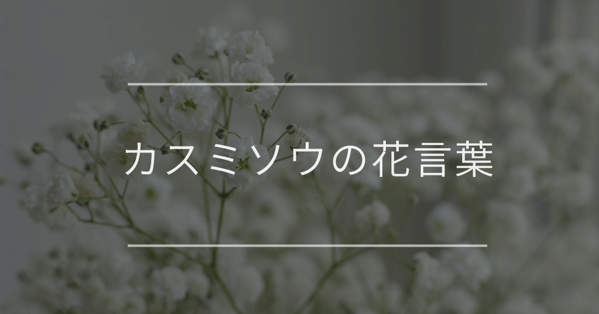 カスミソウの花言葉