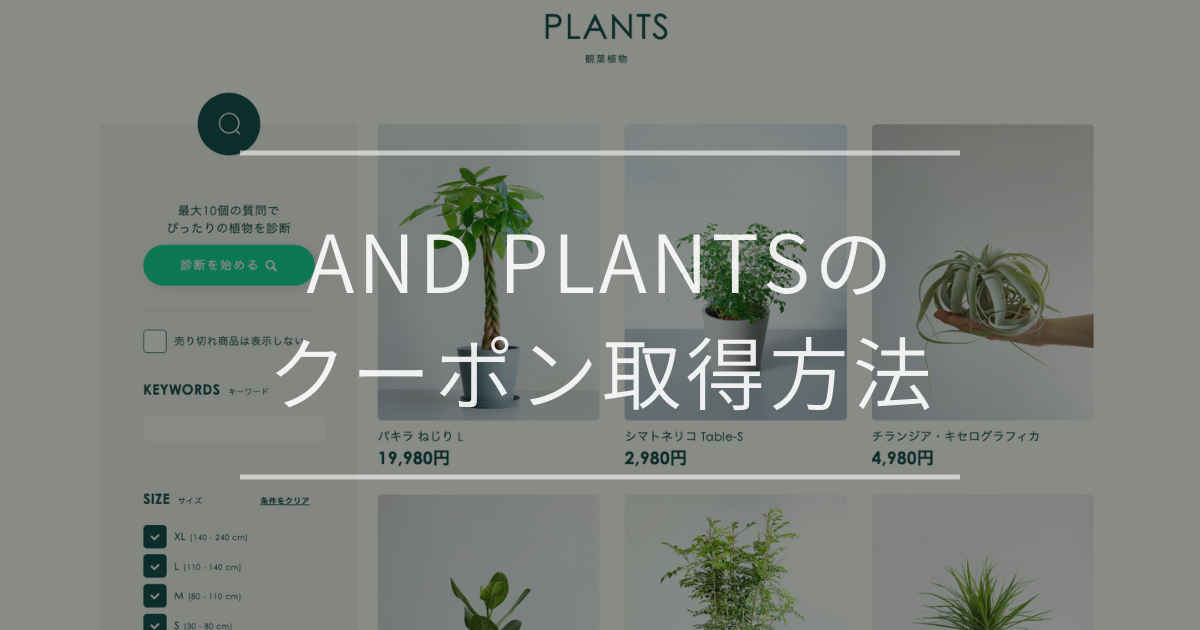 AND PLANTSのクーポン取得方法